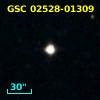 GSC 02528-01309