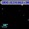 1RXS J123116.5+304917