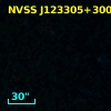 NVSS J123305+300706