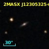 2MASX J12305325+2903459
