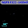 NGP9 F322-1439477