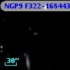 NGP9 F322-1684436
