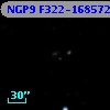 NGP9 F322-1685724