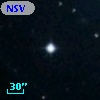 NSV  5598