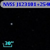 NVSS J123101+254005