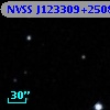 NVSS J123309+250806