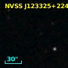 NVSS J123325+224632