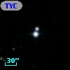 TYC 1447-2095-1