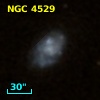 NGC  4529