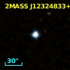 2MASS J12324833+2123245