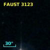 FAUST 3123
