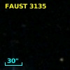 FAUST 3135