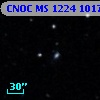 CNOC MS 1224  101787