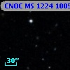 CNOC MS 1224  100556
