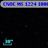 CNOC MS 1224  100631