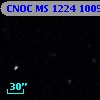 CNOC MS 1224  100565