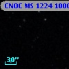 CNOC MS 1224  100099