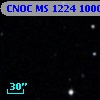 CNOC MS 1224  100094
