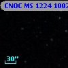 CNOC MS 1224  100274
