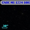 CNOC MS 1224  100779