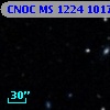 CNOC MS 1224  101727