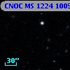 CNOC MS 1224  100584