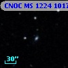 CNOC MS 1224  101795