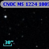 CNOC MS 1224  100590