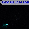 CNOC MS 1224  100028