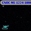 CNOC MS 1224  100647