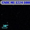 CNOC MS 1224  100018