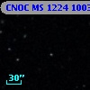 CNOC MS 1224  100344