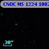 CNOC MS 1224  100264