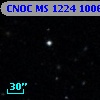 CNOC MS 1224  100666