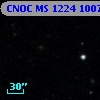 CNOC MS 1224  100795