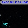 CNOC MS 1224  100763