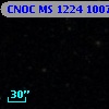 CNOC MS 1224  100726
