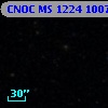 CNOC MS 1224  100762