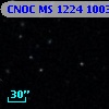 CNOC MS 1224  100320