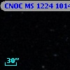 CNOC MS 1224  101463