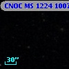 CNOC MS 1224  100754
