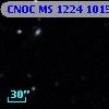 CNOC MS 1224  101596