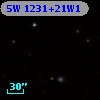 5W 1231+21W1
