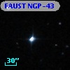 FAUST NGP-43