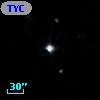 TYC 1445-1766-1
