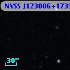 NVSS J123006+173548