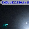 CXOU J122530.4+181311