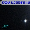 CXOU J122536.5+181002