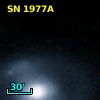 SN 1977A