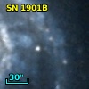 SN 1901B